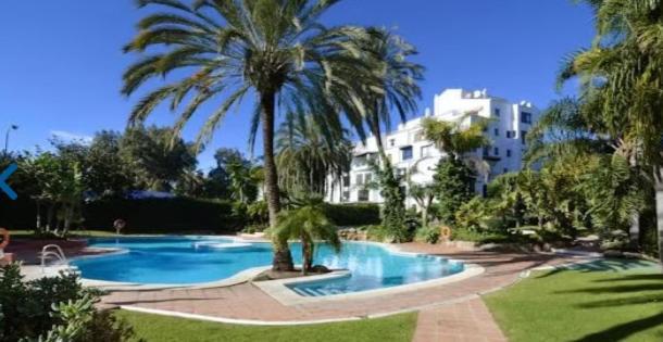Noctua Puerto Banus 003 * Marbella